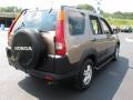 2003 Mojave Mist Metallic Honda CR-V EX 4WD  photo #7