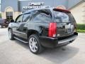 Black Raven - Escalade  Photo No. 5