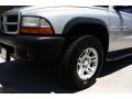 Bright Silver Metallic - Durango SXT 4x4 Photo No. 21