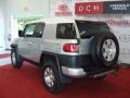 Titanium Metallic - FJ Cruiser 4WD Photo No. 7