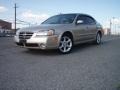 Sunlit Sand Metallic - Maxima SE Photo No. 1