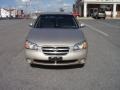 Sunlit Sand Metallic - Maxima SE Photo No. 14