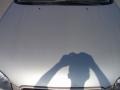 Sunlit Sand Metallic - Maxima SE Photo No. 20