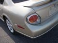 Sunlit Sand Metallic - Maxima SE Photo No. 24