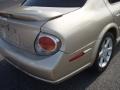 Sunlit Sand Metallic - Maxima SE Photo No. 26