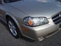 Sunlit Sand Metallic - Maxima SE Photo No. 29