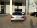 Arctic Silver Metallic - 7 Series 740iL Sedan Photo No. 8