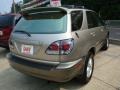 2001 Burnished Gold Metallic Lexus RX 300 AWD  photo #4