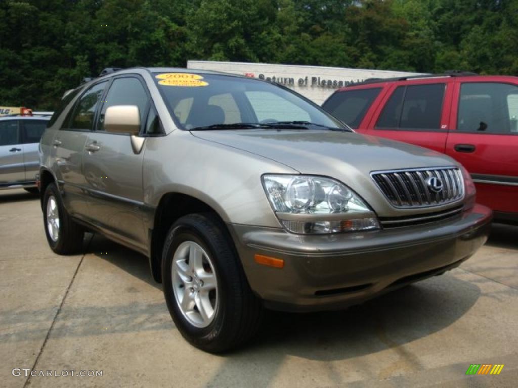 2001 RX 300 AWD - Burnished Gold Metallic / Ivory photo #5