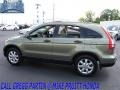 2007 Green Tea Metallic Honda CR-V EX 4WD  photo #1