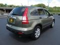 2007 Green Tea Metallic Honda CR-V EX 4WD  photo #7