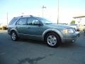 2005 Titanium Green Metallic Ford Freestyle SEL AWD  photo #6