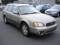 Linen Gold Metallic - 300 Touring Photo No. 3