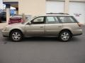 Linen Gold Metallic - 300 Touring Photo No. 9