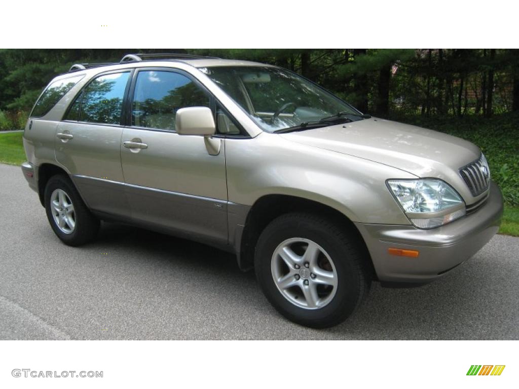 2001 RX 300 AWD - Burnished Gold Metallic / Ivory photo #1