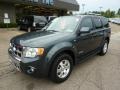 2008 Black Pearl Slate Metallic Ford Escape Limited 4WD  photo #8