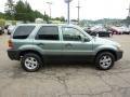 2007 Titanium Green Metallic Ford Escape XLT V6  photo #5