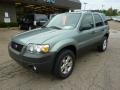 2007 Titanium Green Metallic Ford Escape XLT V6  photo #8