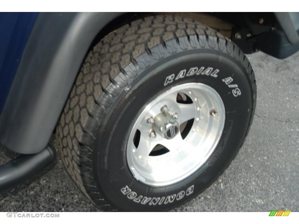 2004 Wrangler Sport 4x4 - Patriot Blue Pearl / Dark Slate Gray photo #39