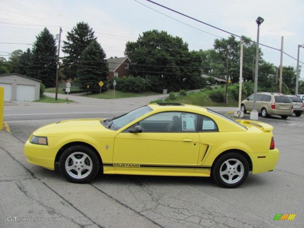 2003 Mustang V6 Coupe - Zinc Yellow / Medium Graphite photo #5