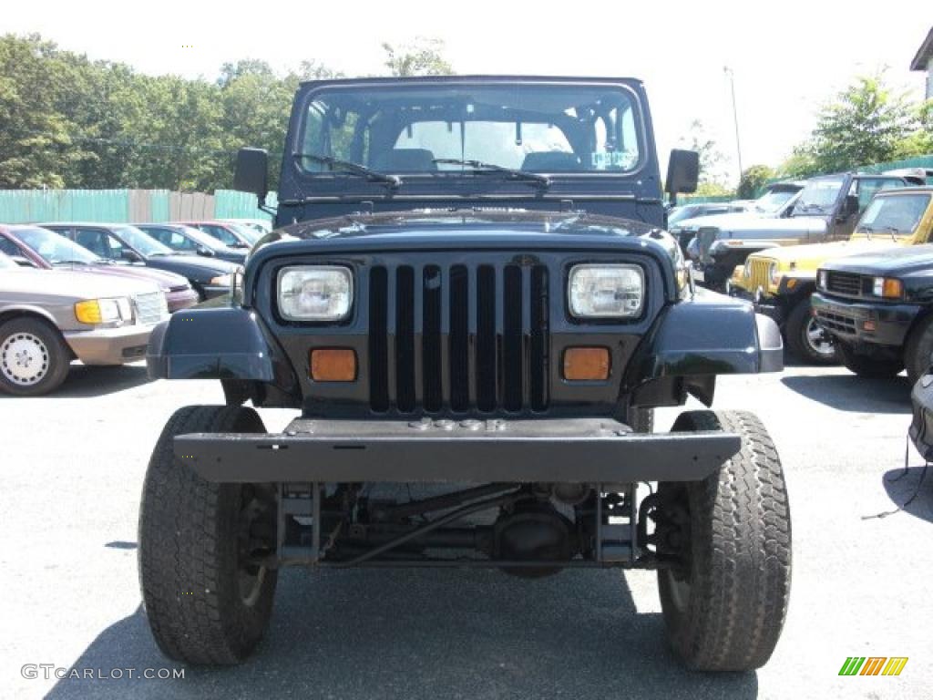 1995 Wrangler S 4x4 - Black / Gray photo #2