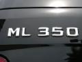 2006 Obsidian Black Metallic Mercedes-Benz ML 350 4Matic  photo #9