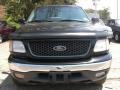 2001 Black Ford F150 XLT SuperCrew 4x4  photo #2
