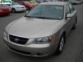 2006 Golden Beige Hyundai Sonata LX V6  photo #14