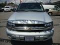 Moondust Metallic - TrailBlazer LS 4x4 Photo No. 2