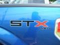 2010 Blue Flame Metallic Ford F150 STX SuperCab 4x4  photo #8
