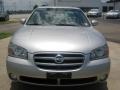 Sheer Silver - Maxima GLE Photo No. 9