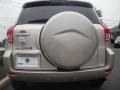 Beige Metallic - RAV4  Photo No. 5