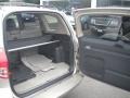 Beige Metallic - RAV4  Photo No. 15