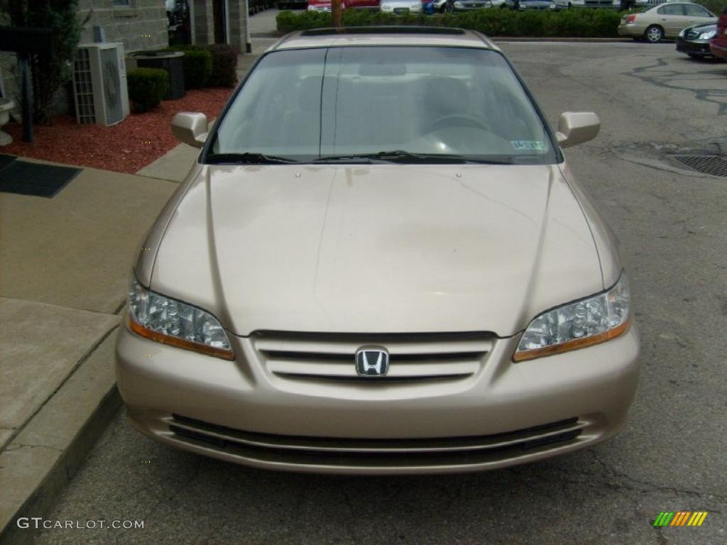 2002 Accord EX Sedan - Naples Gold Metallic / Ivory photo #7