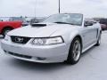 2001 Silver Metallic Ford Mustang GT Convertible  photo #4