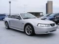 2001 Silver Metallic Ford Mustang GT Convertible  photo #6