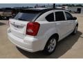 Stone White - Caliber SXT Photo No. 5