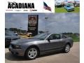 2010 Sterling Grey Metallic Ford Mustang V6 Coupe  photo #1