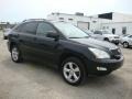 Black Onyx - RX 330 AWD Photo No. 6