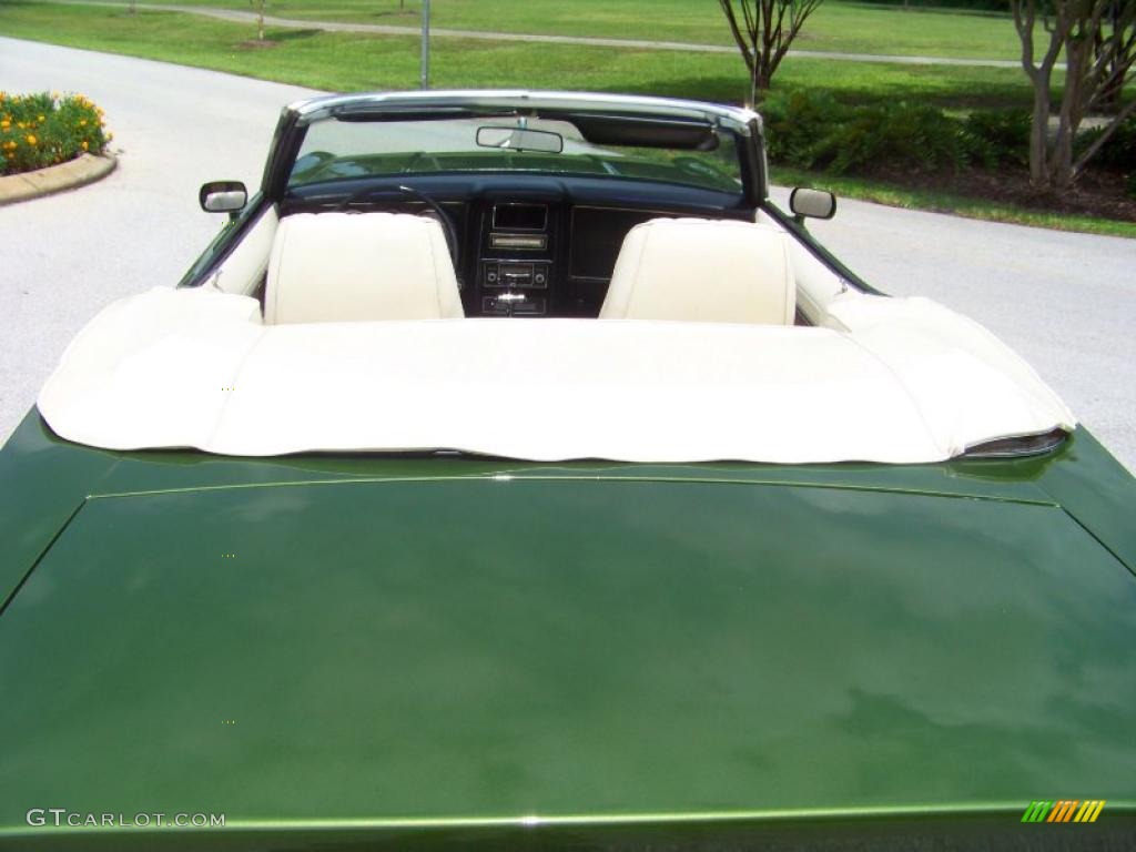 1973 Mustang Convertible - Medium Green Metallic / White photo #10
