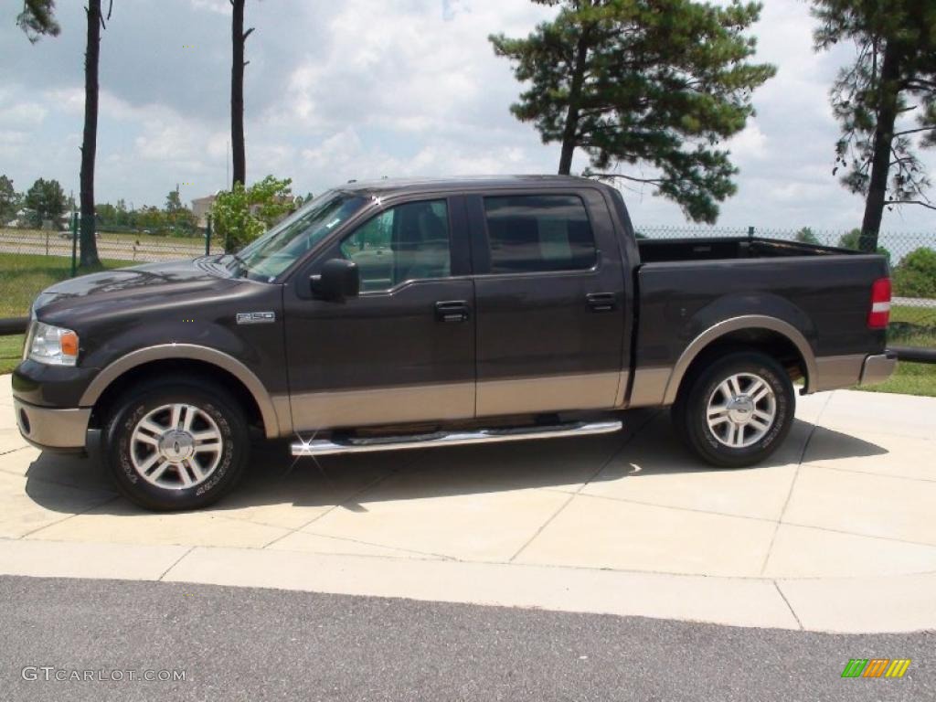2006 F150 Lariat SuperCrew - Dark Stone Metallic / Medium/Dark Flint photo #11