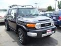 Black Diamond - FJ Cruiser 4WD Photo No. 3