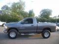 2003 Graphite Metallic Dodge Ram 1500 SLT Regular Cab 4x4  photo #2
