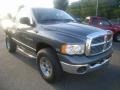 2003 Graphite Metallic Dodge Ram 1500 SLT Regular Cab 4x4  photo #8