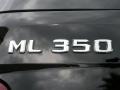Black - ML 350 4Matic Photo No. 9