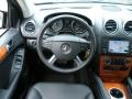 Black - ML 350 4Matic Photo No. 19