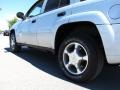 Moondust Metallic - TrailBlazer LS 4x4 Photo No. 13
