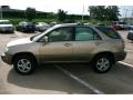 Burnished Gold Metallic - RX 300 Photo No. 13