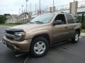 Sandalwood Metallic - TrailBlazer LS 4x4 Photo No. 1