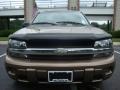 Sandalwood Metallic - TrailBlazer LS 4x4 Photo No. 2